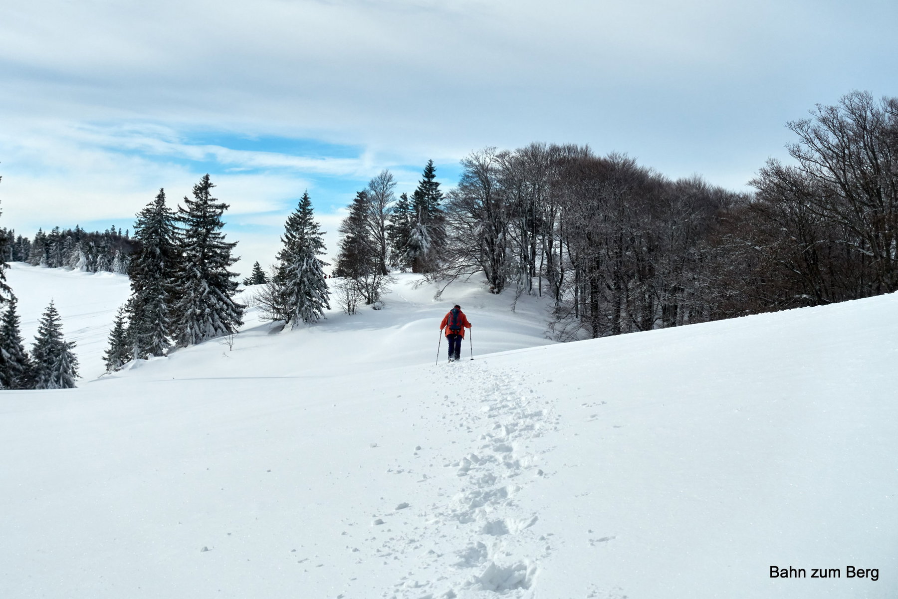 Kurz vor der Hütte, bzw. dem Gipfel des Eisensteins. So sieht Schneeschuhwandern aus!