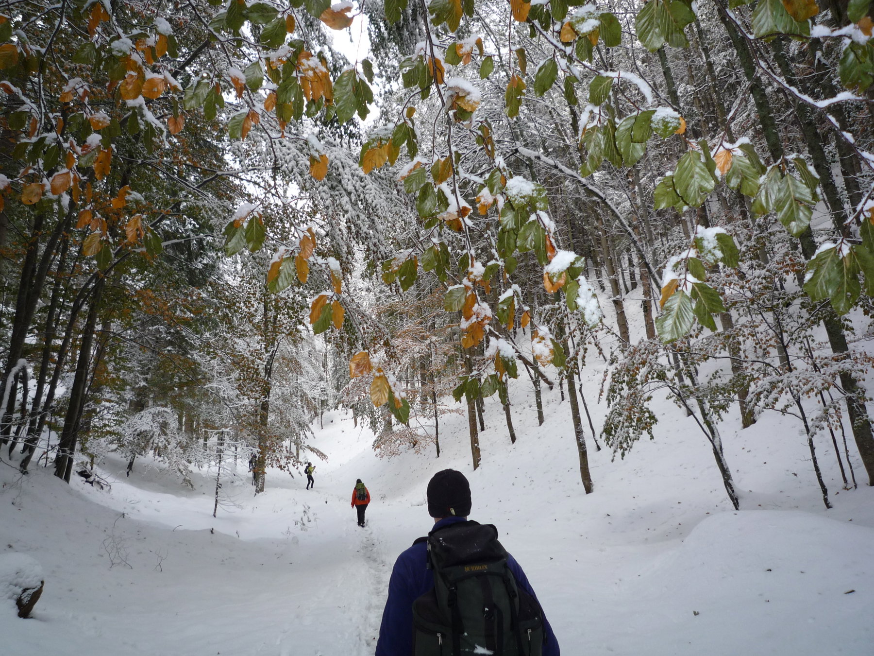 Im Promischkagraben. Foto: Alpenverein Edelweiss