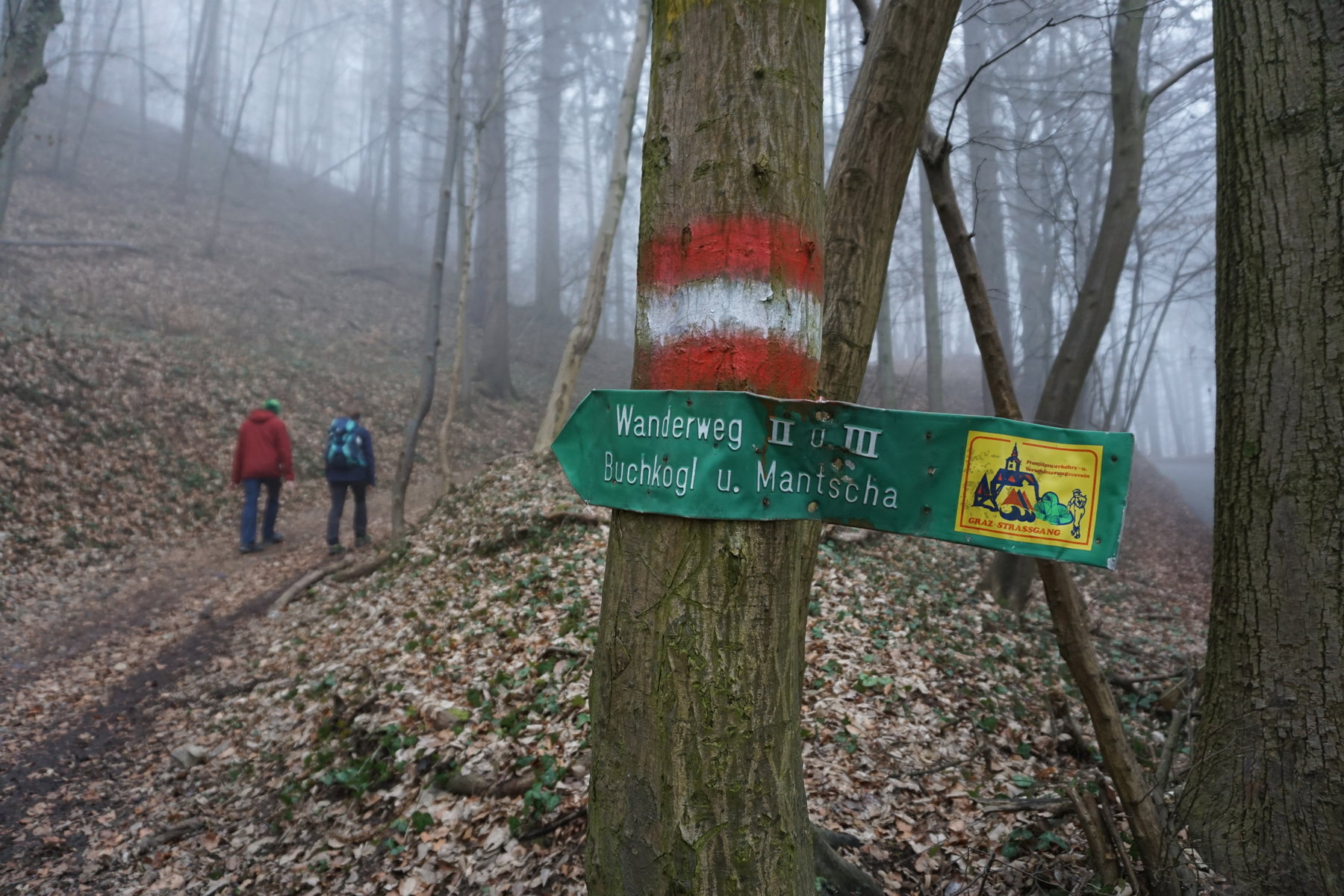 Auf dem Wanderweg. Foto: Daniel Strohrigl