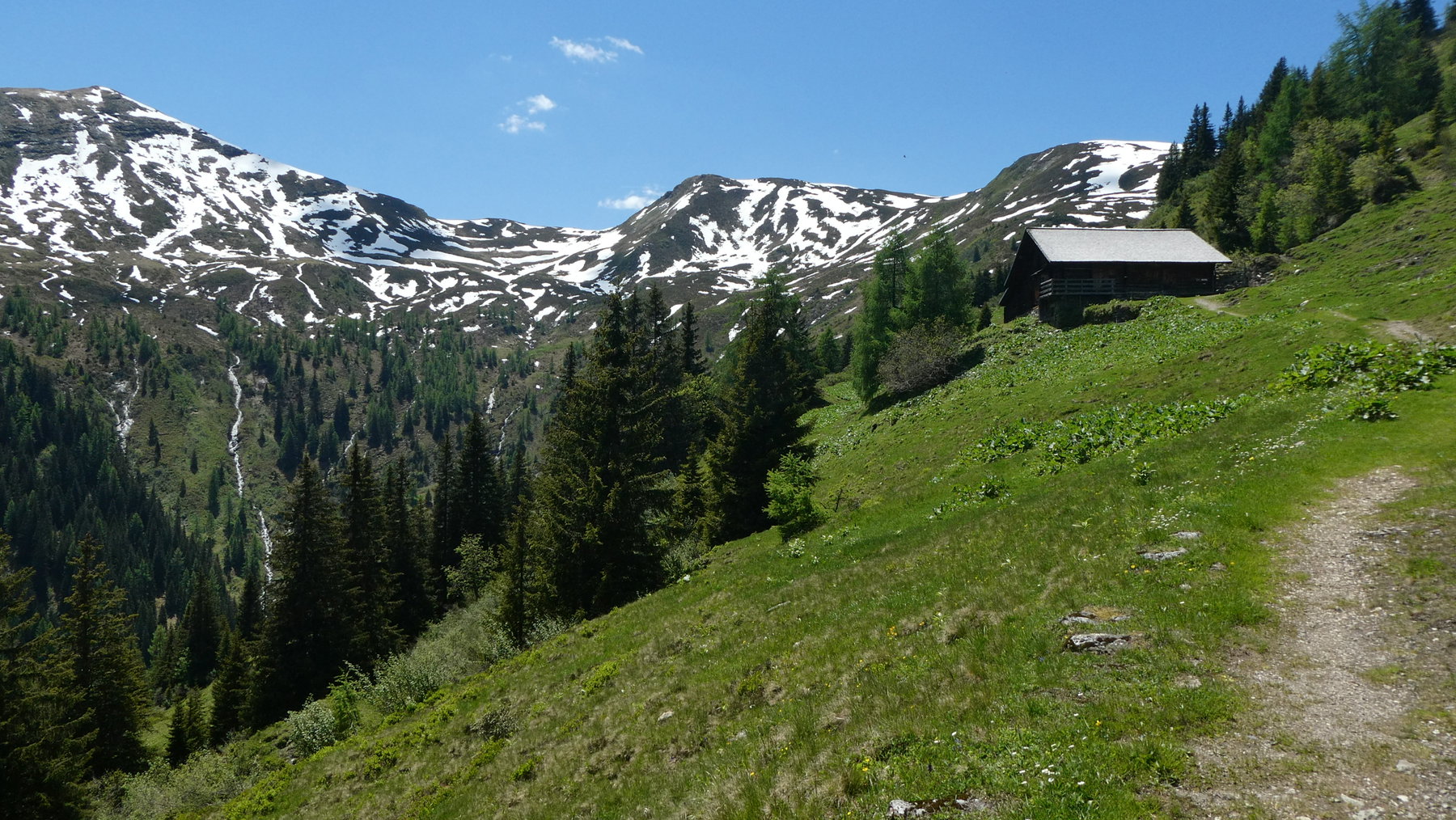 Tofernalm mit Kreuzkogel, Throneck und Finsterkopf. Die Tofernscharte ist rechts hinter dem Wald. Foto Karl Plohovich