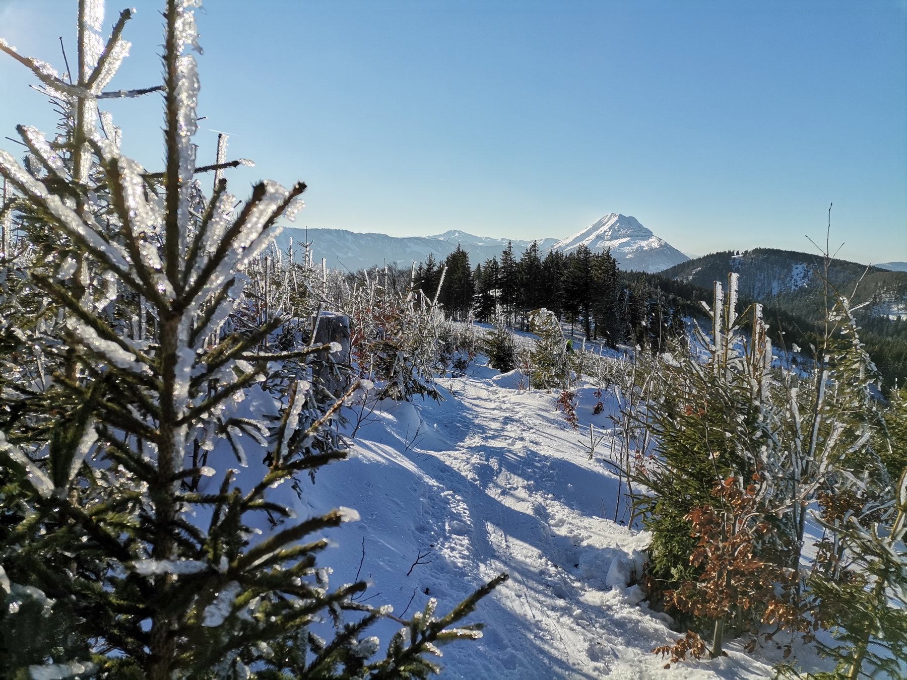 Noch immer "Frozen" am Hennesteck. Foto Veronika Schöll