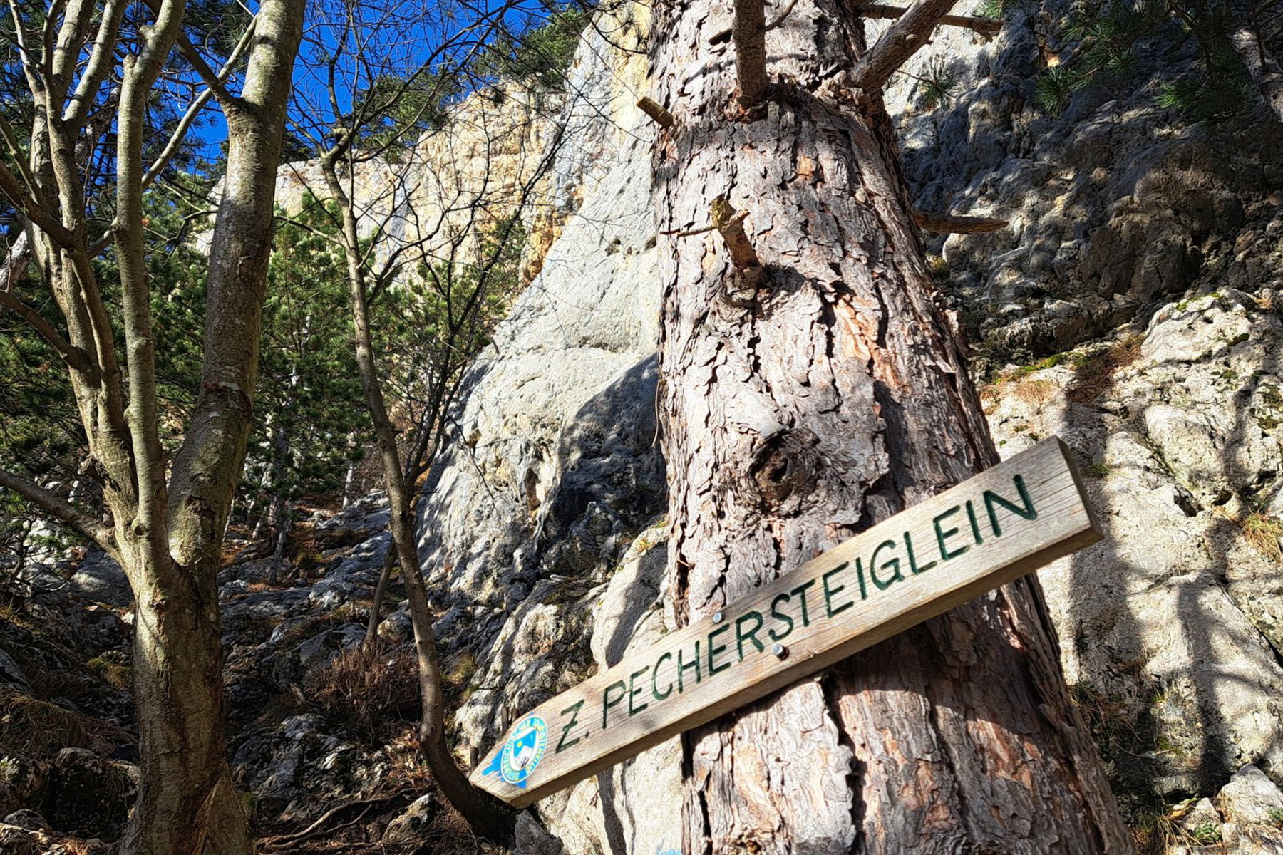 Einstieg Zahmes Pechersteiglein. Foto: Gerold Petritsch