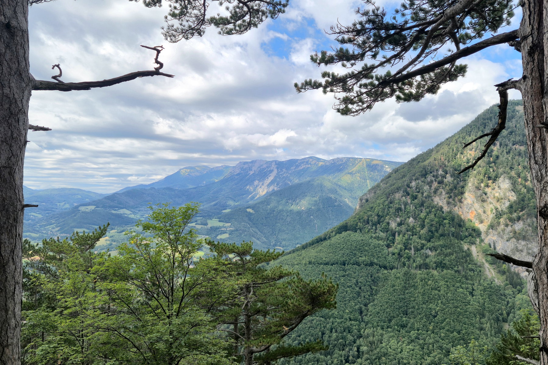 Ausblick beim Aufstieg auf die Rax. Foto: Linda Prähauser