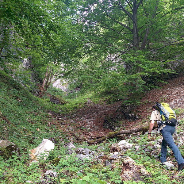 Großes Wolfstal & Brandschneide