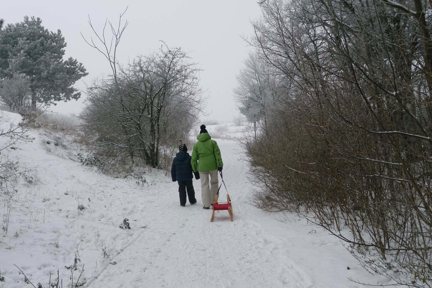 Rodeln auf der Schutzhüttenstraße