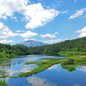 Runde um den Erlaufstausee