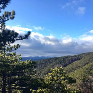 Vöslauer Hüttenrunde – Wanderlaufen