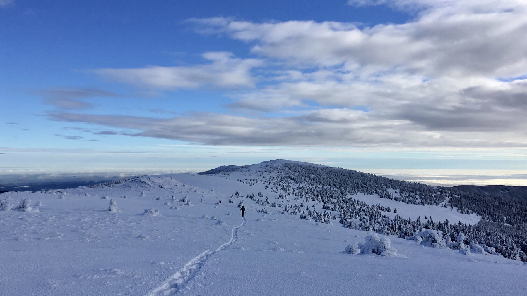 In Schneeschuhen auf den Hochwechsel