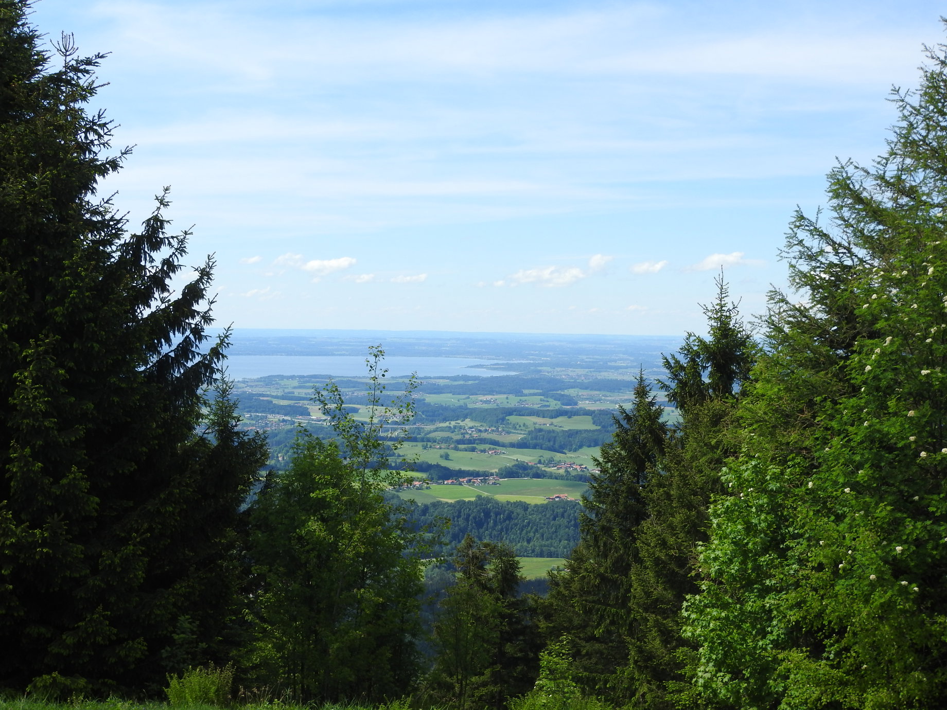 Zinnkopf. Foto: Nikolaus Vogl