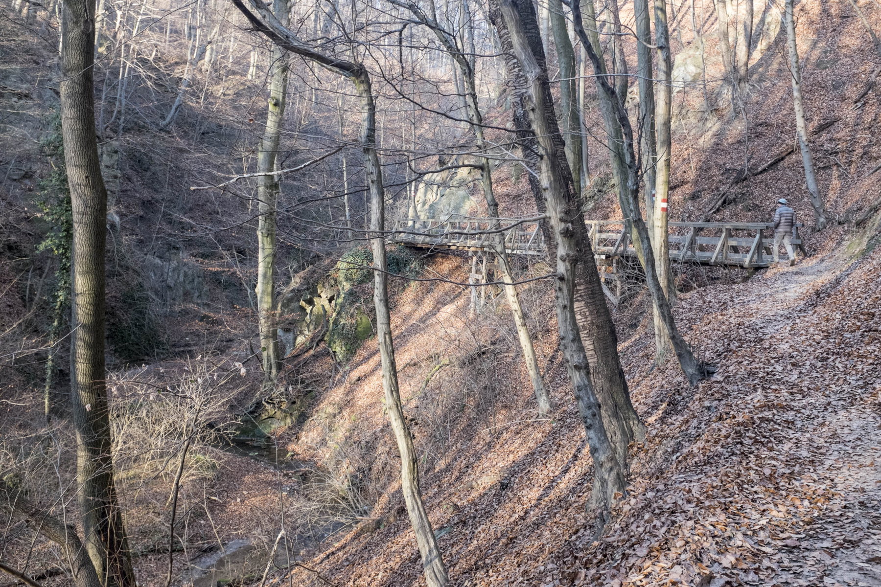 Eine Wienerwald-Überschreitung – von Mauerbach nach St. Andrä-Wördern