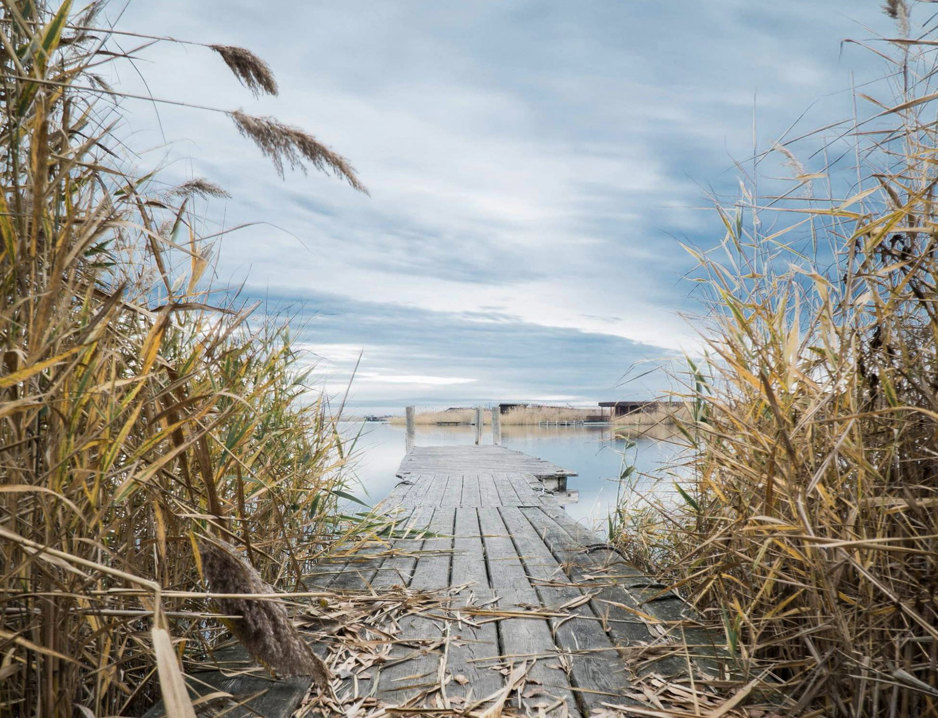 Natura Trail Etappe 3. Foto: Naturfreunde Österreich