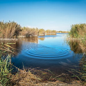 4 Naturlehrpfad in Illmitz