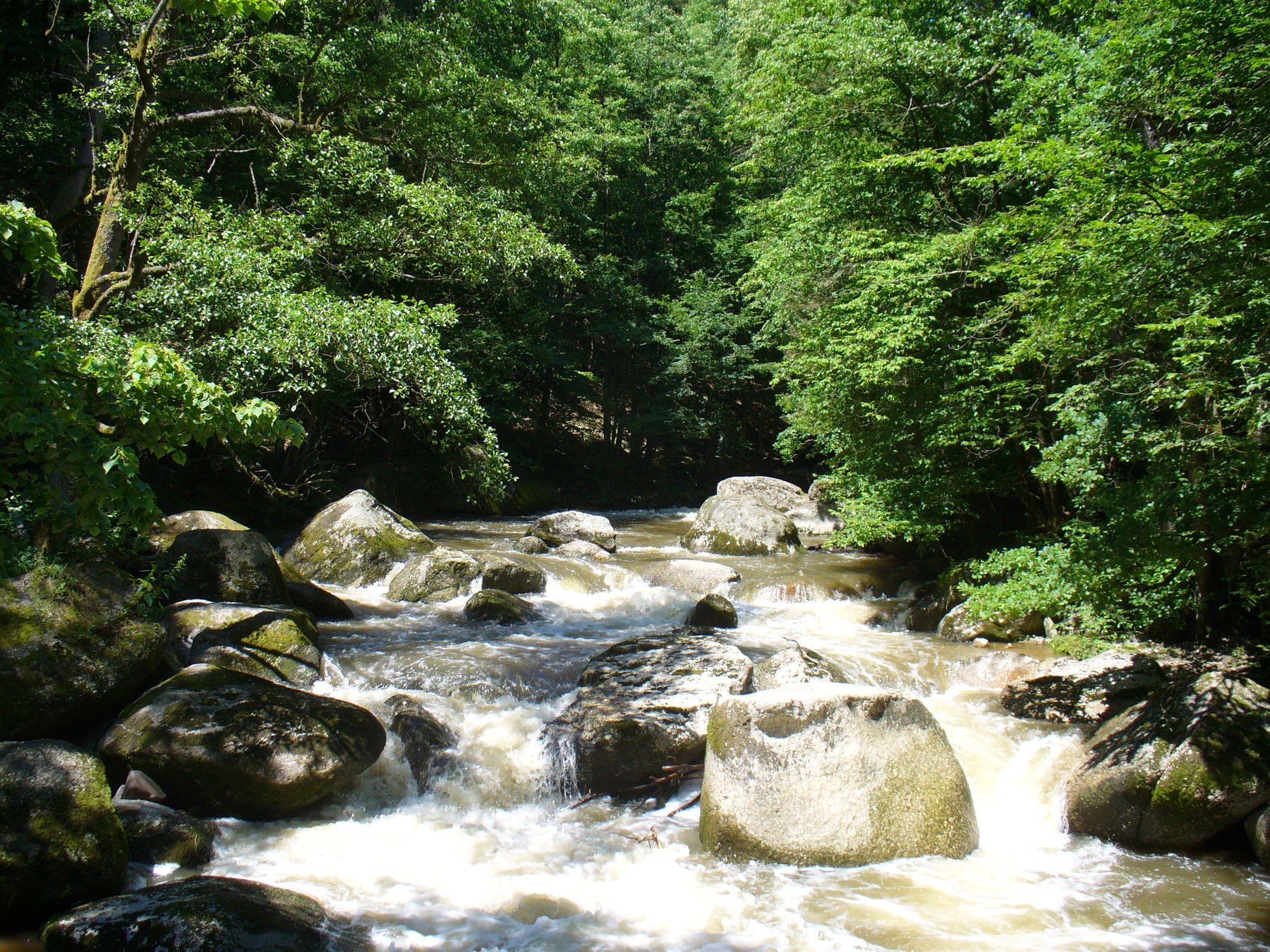 15: Natura Trail „Feldaist“