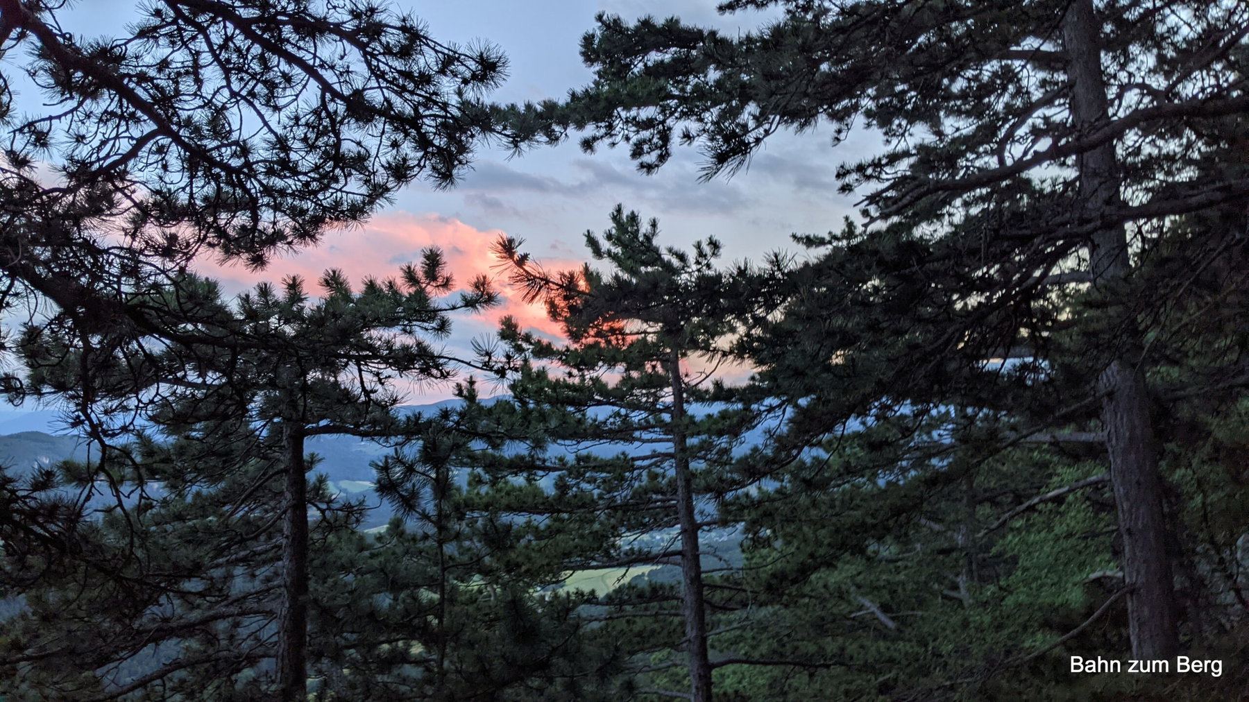 Abendessen bei den Glühwürmchen