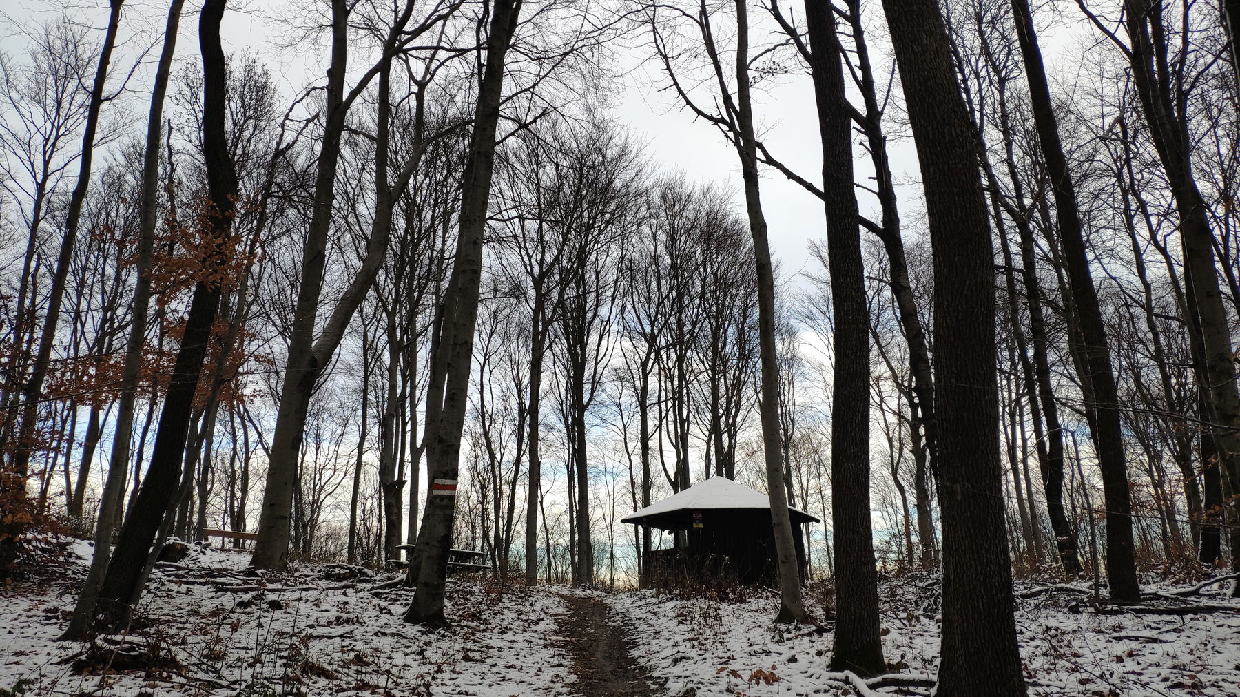 Am Wienerwald Verbindungsweg – Teil 2