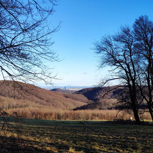 Am Wienerwald Verbindungsweg – Teil 3