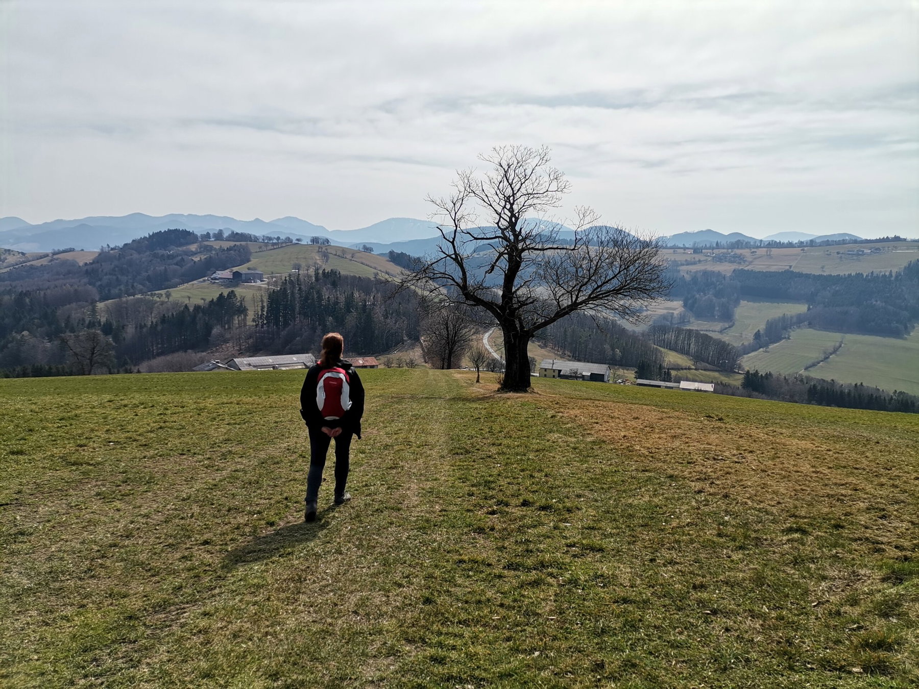 Gemütlich von Hofstetten nach Rabenstein