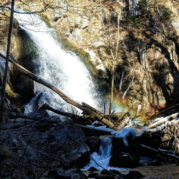 Frühlingswanderung an Erlauf und Trefflingbach