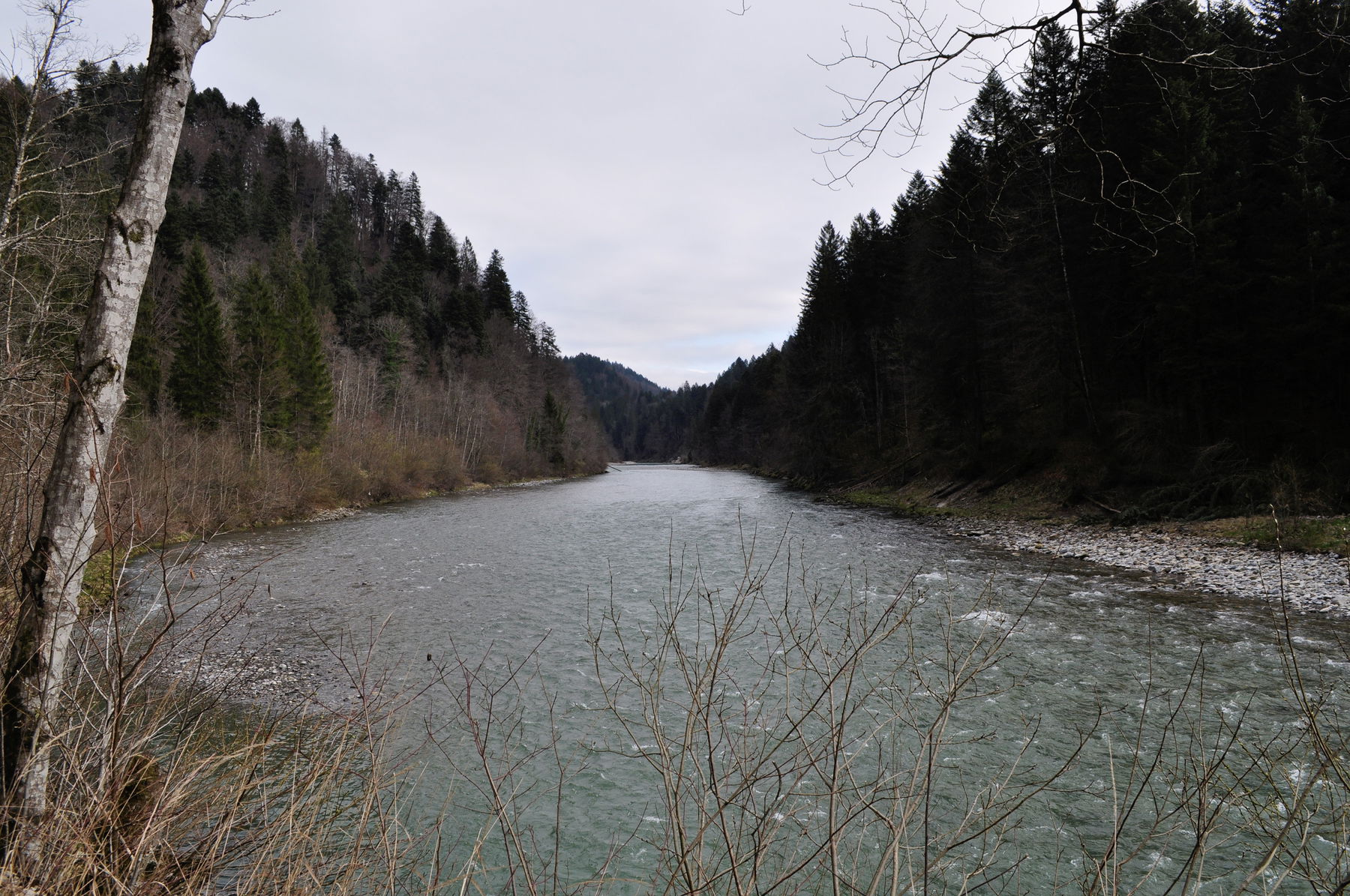 Am Ufer der Bregenzerach Richtung Bregenzerwald wandern