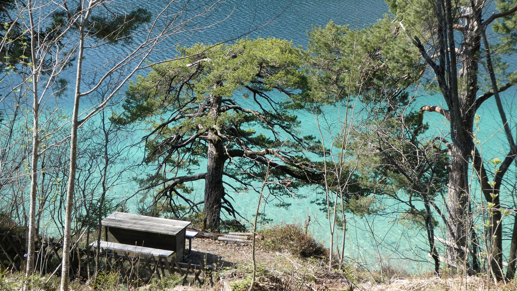 Fuschlsee Rundweg