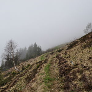 Alpwanderung am Walserkamm