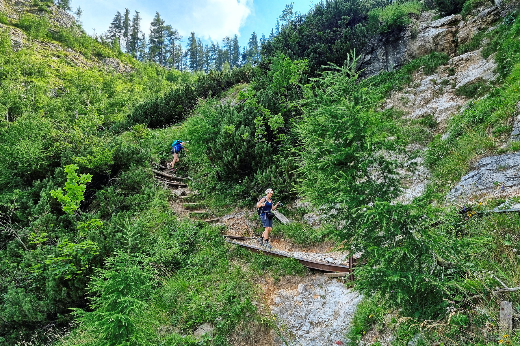 Über die Schneealpe
