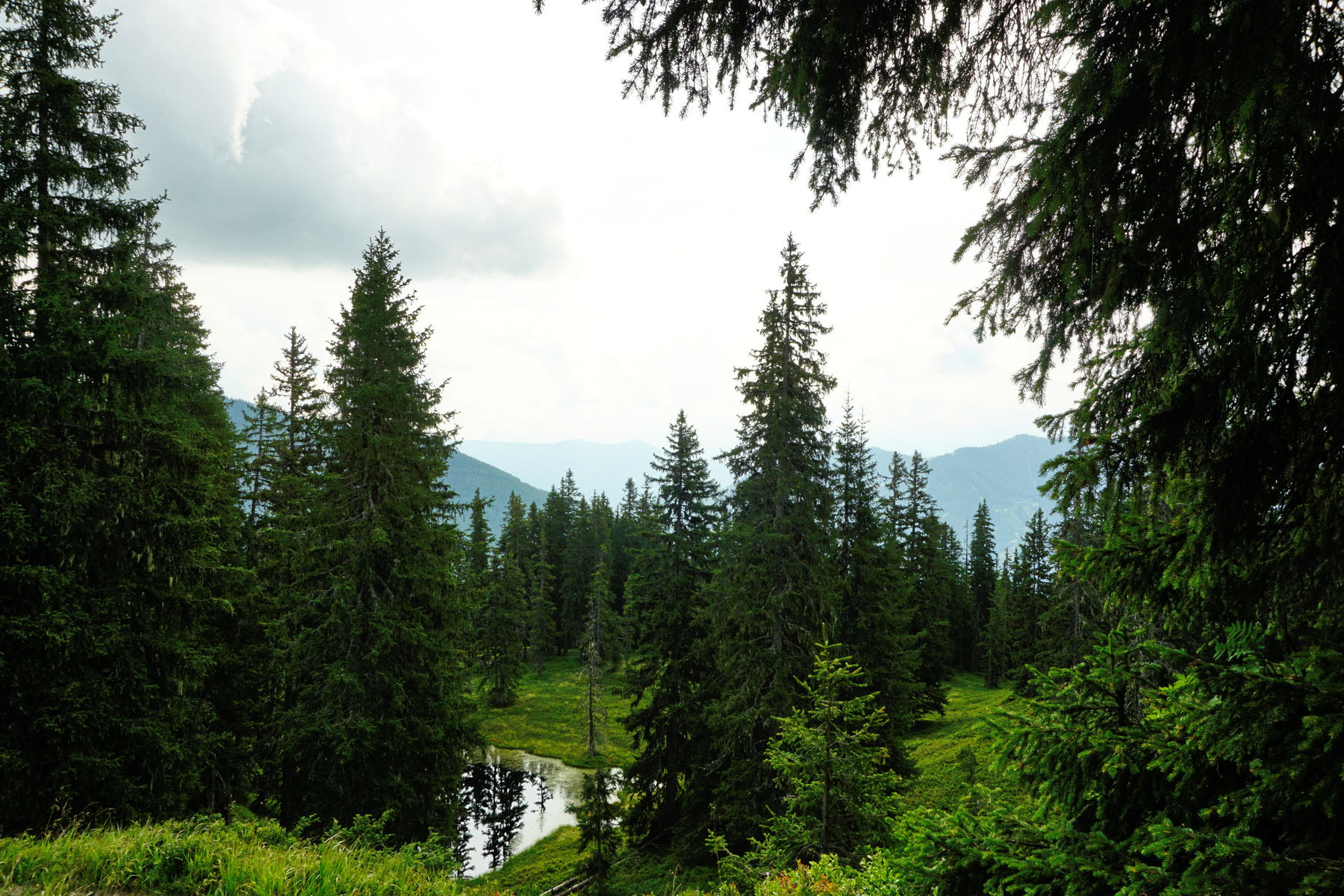 Sausteigen und 5 weitere Gipfel