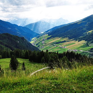 Naviser Almenrunde