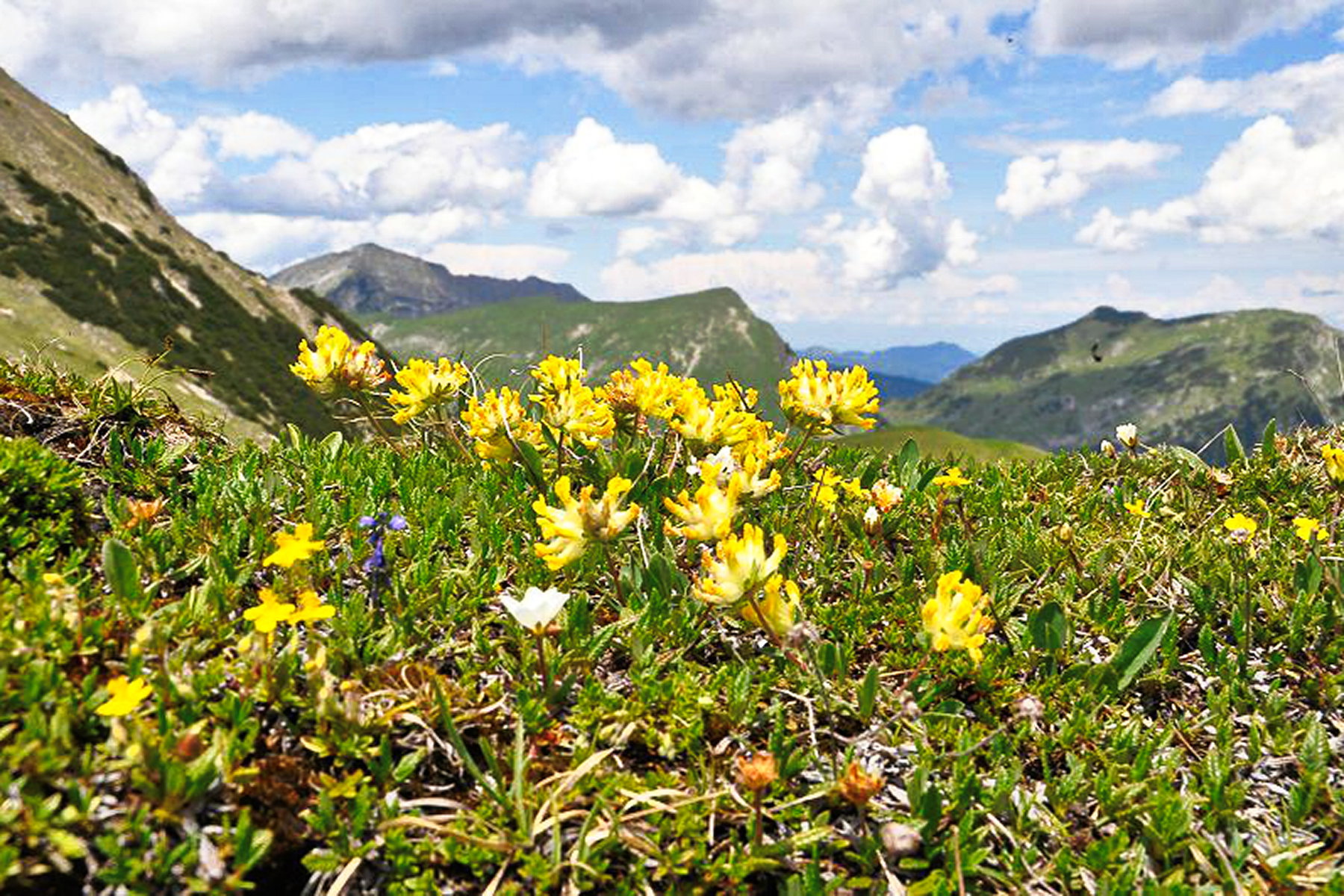 Über Fleischbank und Schafreiter