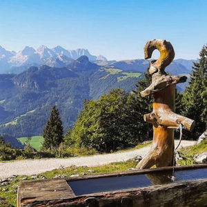 Peitingköpfl bei Unken