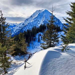 Im Winter auf Gindlhorn und Brandangerkogel mit Grimmingblicken vom Feinsten