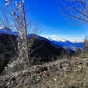 Durch drei Bergstollen auf den Zinkenkopf