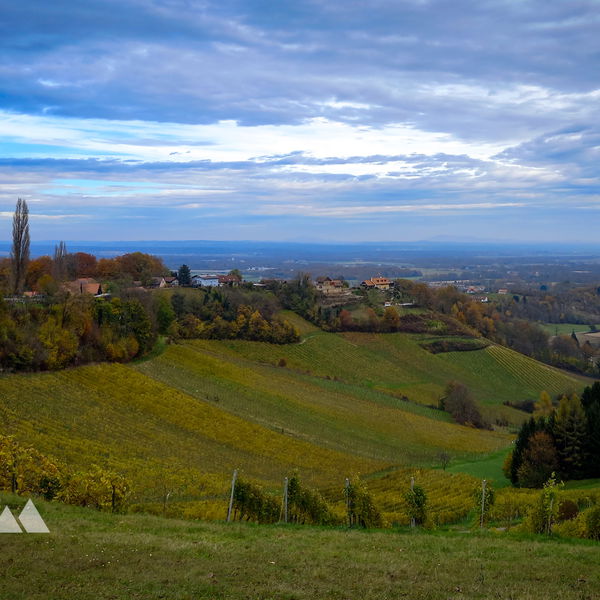 Durch die südsteirischen Weinberge zur Aussichtswarte am Platschberg (Plački vrh)