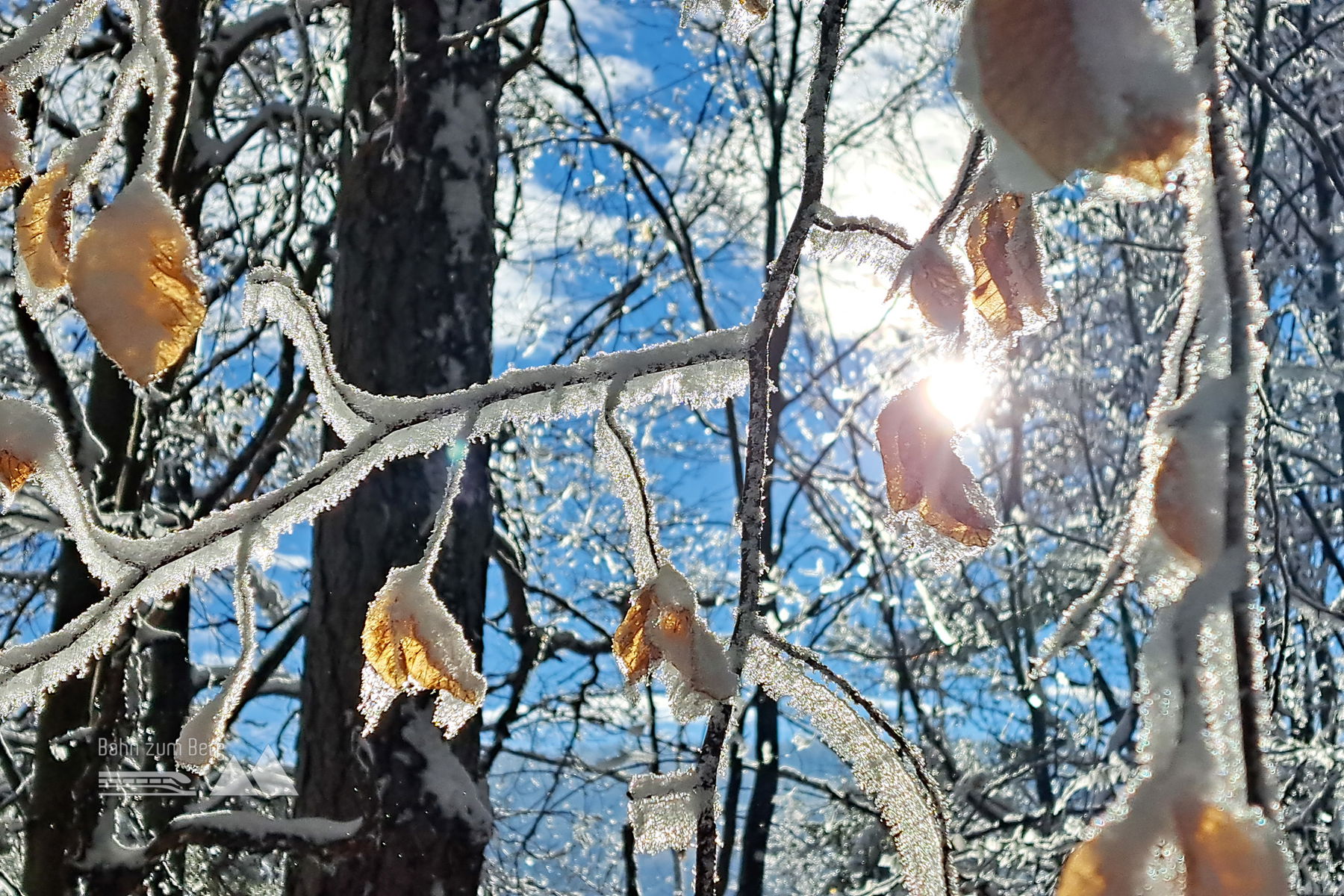 Hohe Mandling: ein Wintermärchen nahe Wien