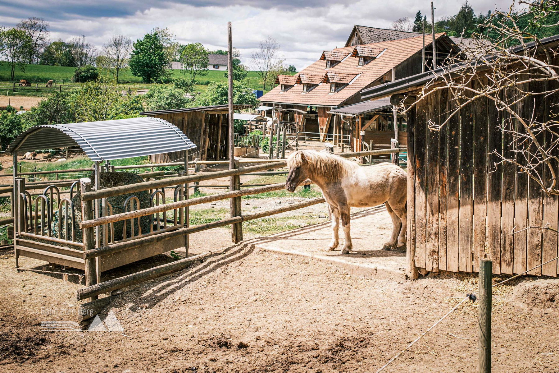 Blüten- und tierreiche Genusswanderung im Norden von Graz