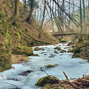 Johannesbachklamm und Naturpark Sierningtal-Flatzer Wand im Winter (von Unterhöflein nach Ternitz)