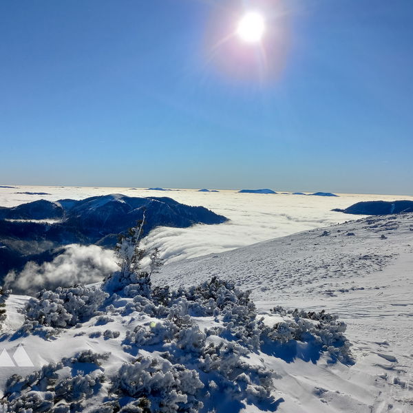 Vom Brandhof auf den Kuckuckstein – eine Skitour für Genießer