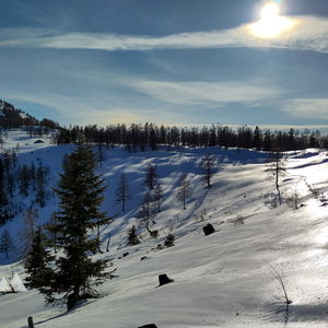 LammerLämmer I: Mit Schneeschuhen aus dem Lammertal über den Hochbühel nach Lämmerbach