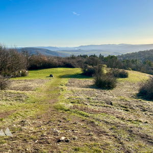 Weinviertler Wienblicke, von Leobendorf und Stockerau