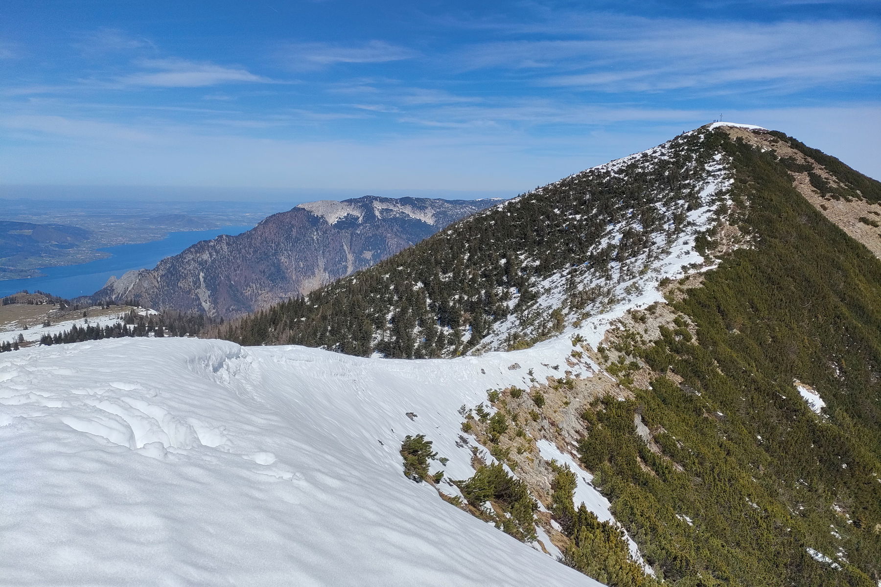 Leonsberg: der Löwe als Nachbar vom Schaf