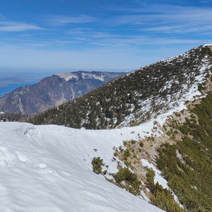 Leonsberg: der Löwe als Nachbar vom Schaf