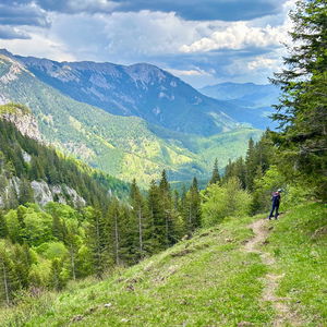 Almwanderung im Naturpark Mürzer Oberland