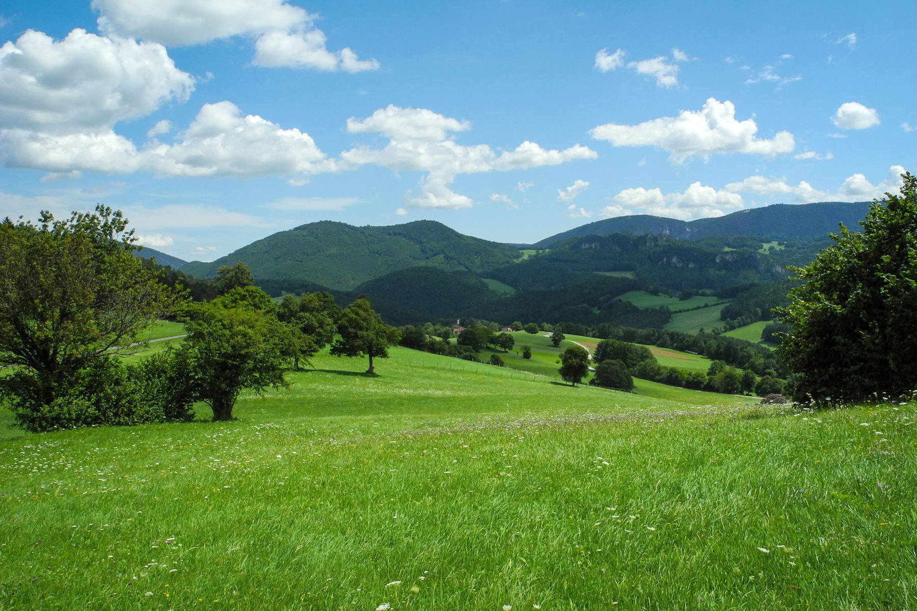 Mittagsrastplatz mit Blick auf die Ochsenheide. Foto: Barbara Wanzenböck