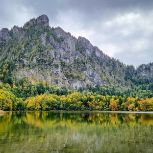 Herbstwanderung in der Region Traunsee-Almtal (Zwillingskogel, Laudachsee und Grünberg)