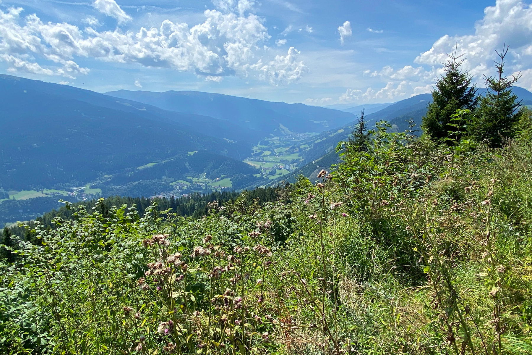 Blick ins Murtal. Foto: Peter Backé