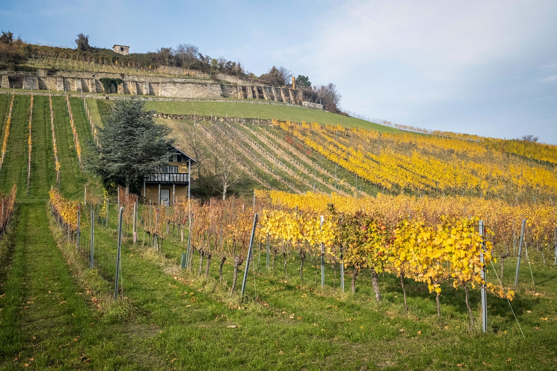 Geheimwege von Heiligenstadt nach Klosterneuburg