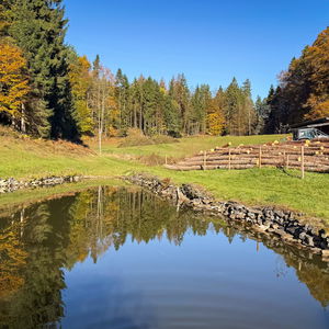 Herbstwanderung vom Wörthersee nach Feldkirchen