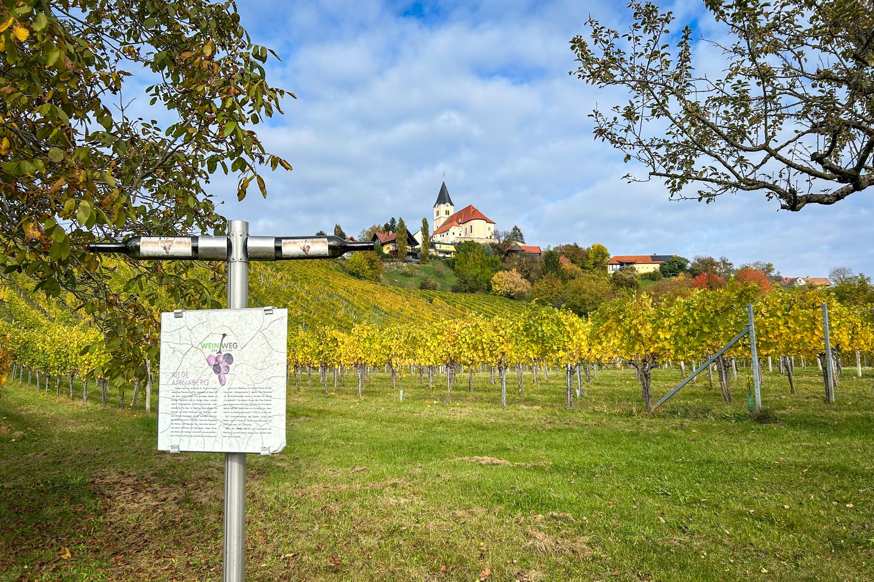 Blick über die Weingärten am Fuße von St. Anna. Foto: David Kurz