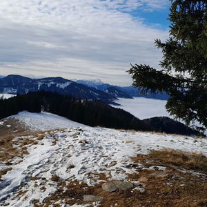 Wanderung von Palbersdorf über Zöberer Höhe und Hochegg nach St. Marein im Mürztal