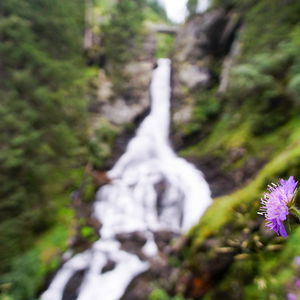 Riesachfälle: Kühles Paradies bei wildem Wasser
